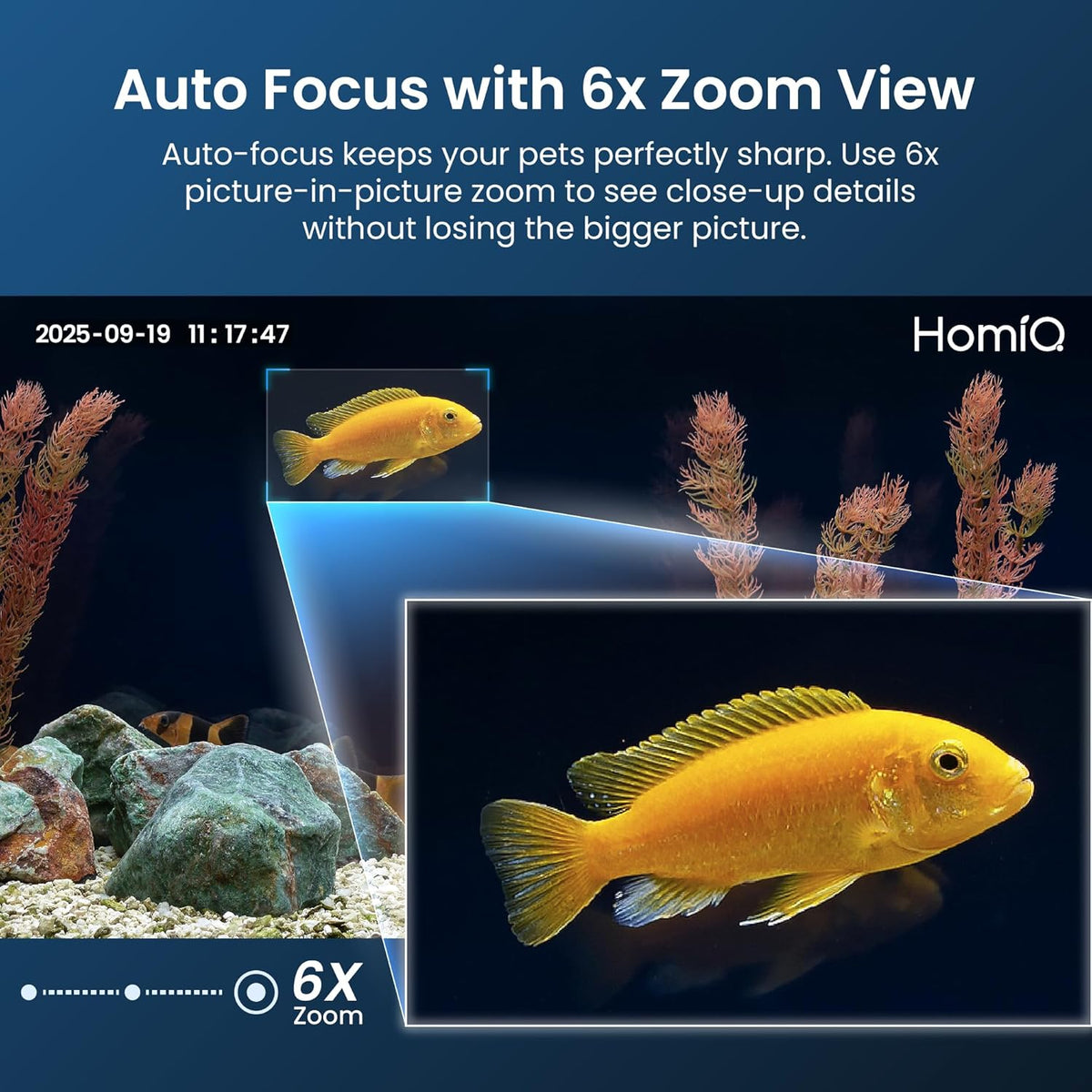 Close-up view of HomiQ Life camera lens for fish tank