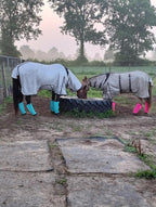 NizHome anti stomp fly boots fitted securely on horse legs