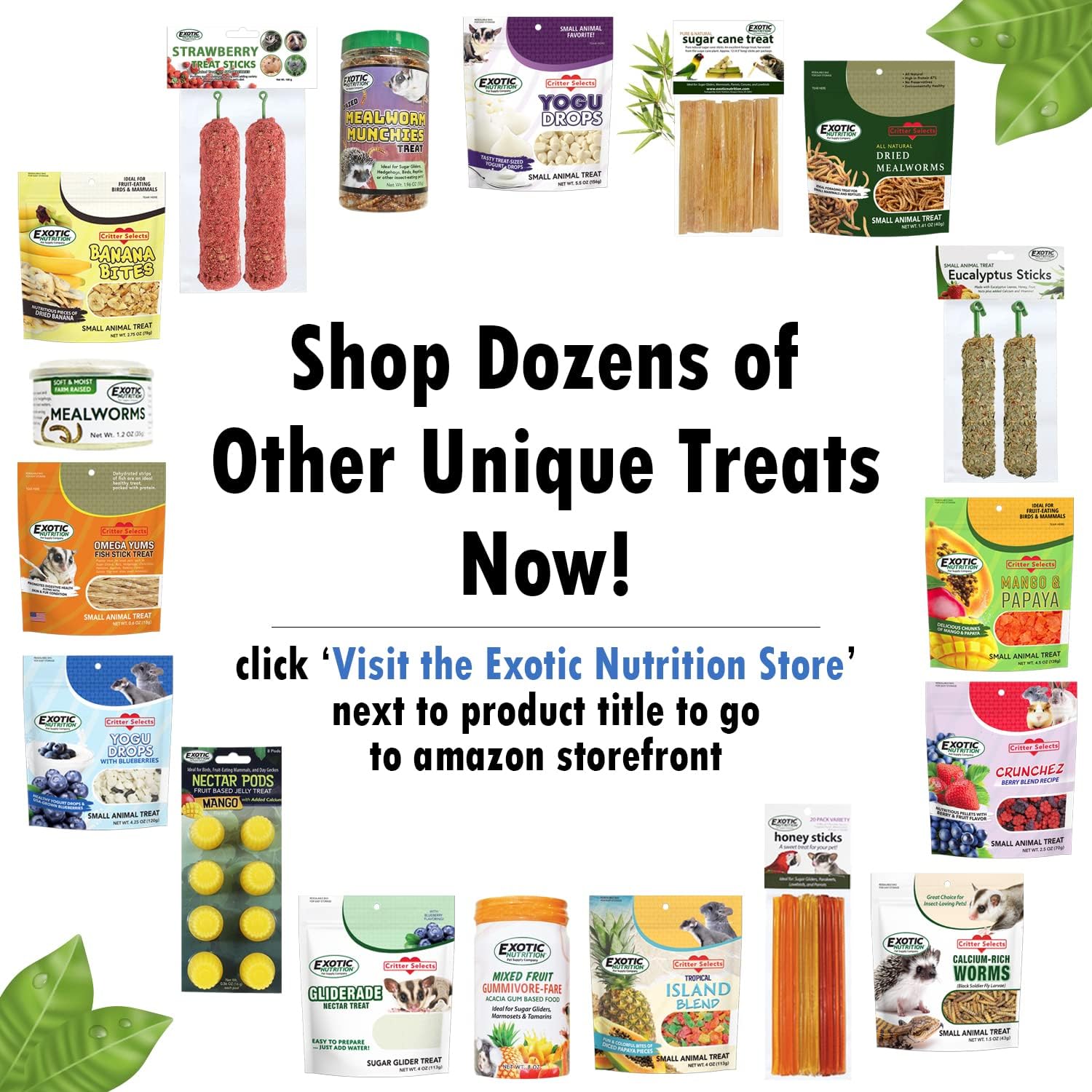 Natural additive free small animal treats for degus gerbils and squirrels