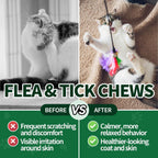 Premium chemical free oral flea defense for kittens and adult cats