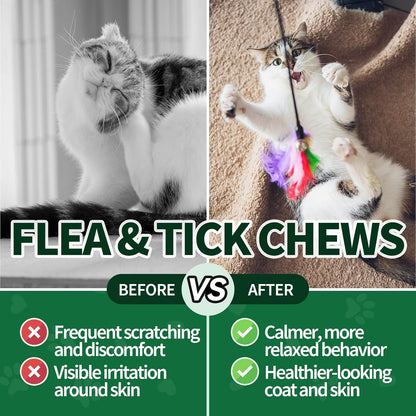 Premium chemical free oral flea defense for kittens and adult cats