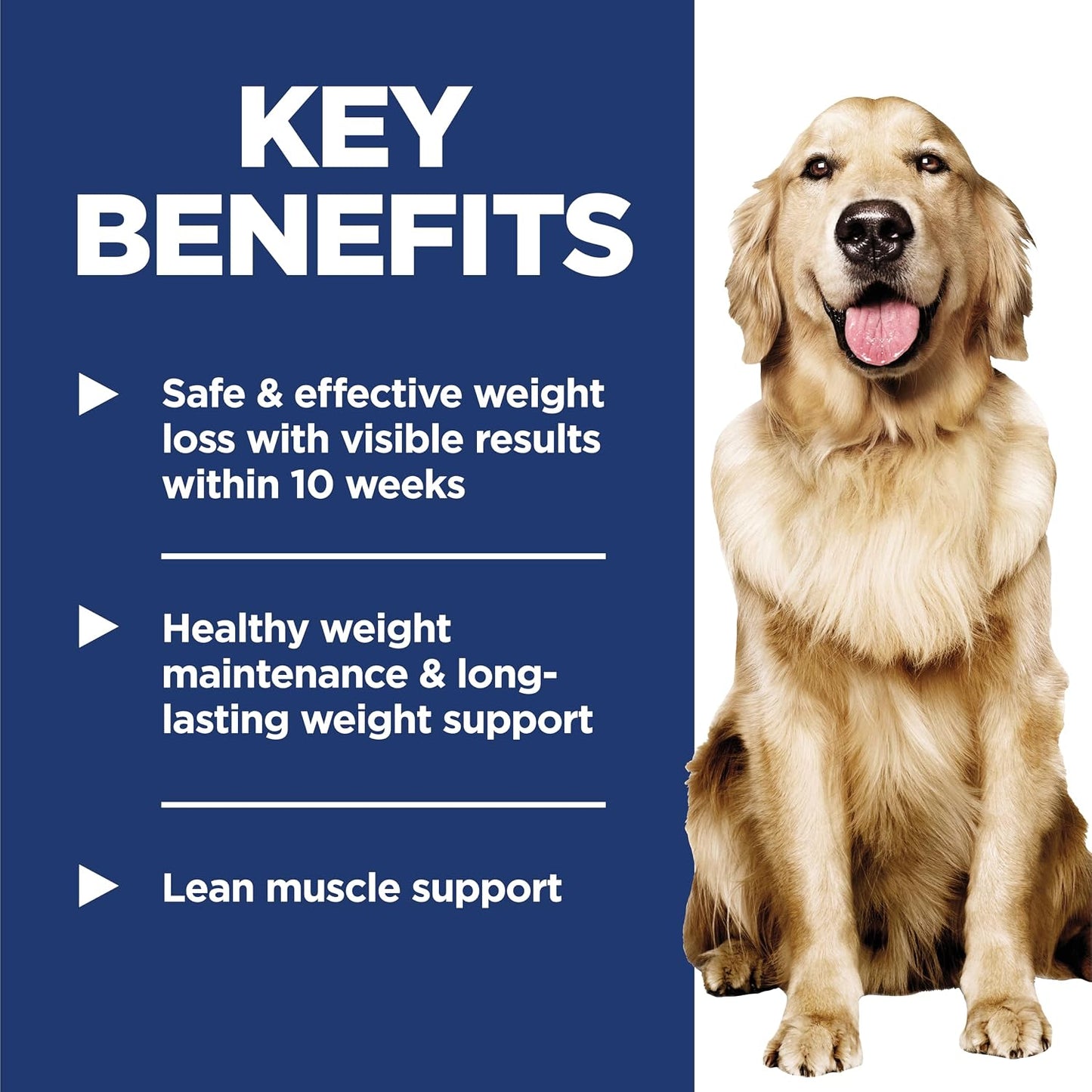 Authentic USA imported weight loss wet dog food displayed on a flat surface.