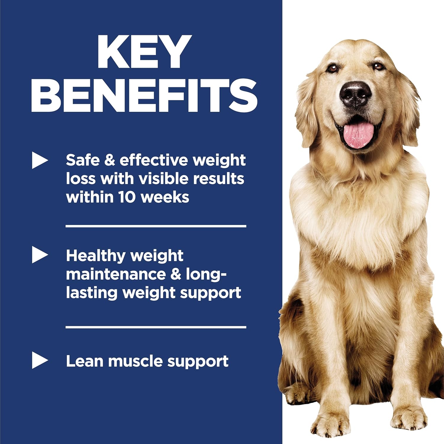 Authentic USA imported weight loss wet dog food displayed on a flat surface.