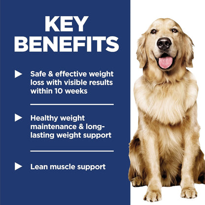 Authentic USA imported weight loss wet dog food displayed on a flat surface.