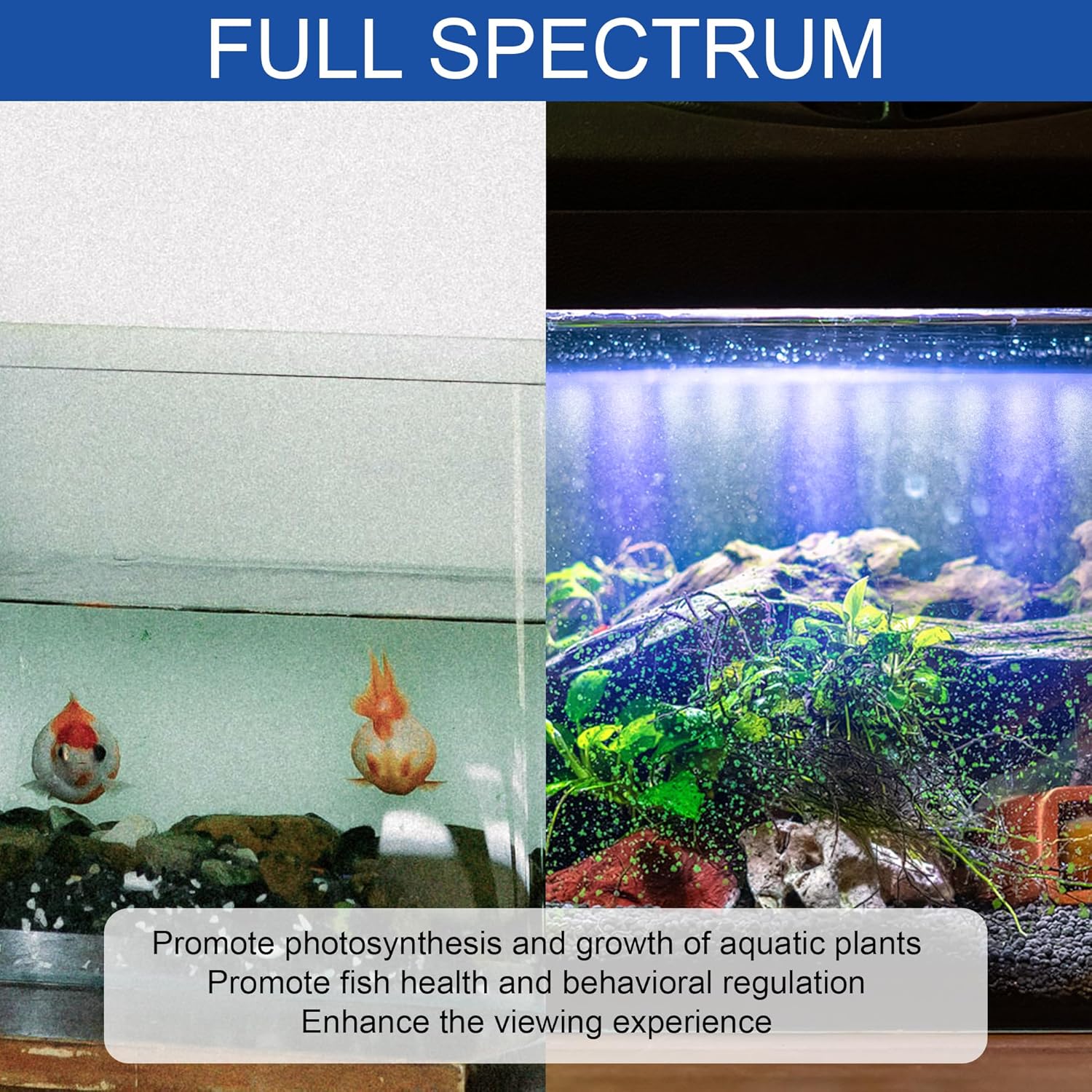 Close up of the water resistant full spectrum LED beads on the IRQWY aquarium hood lamp.