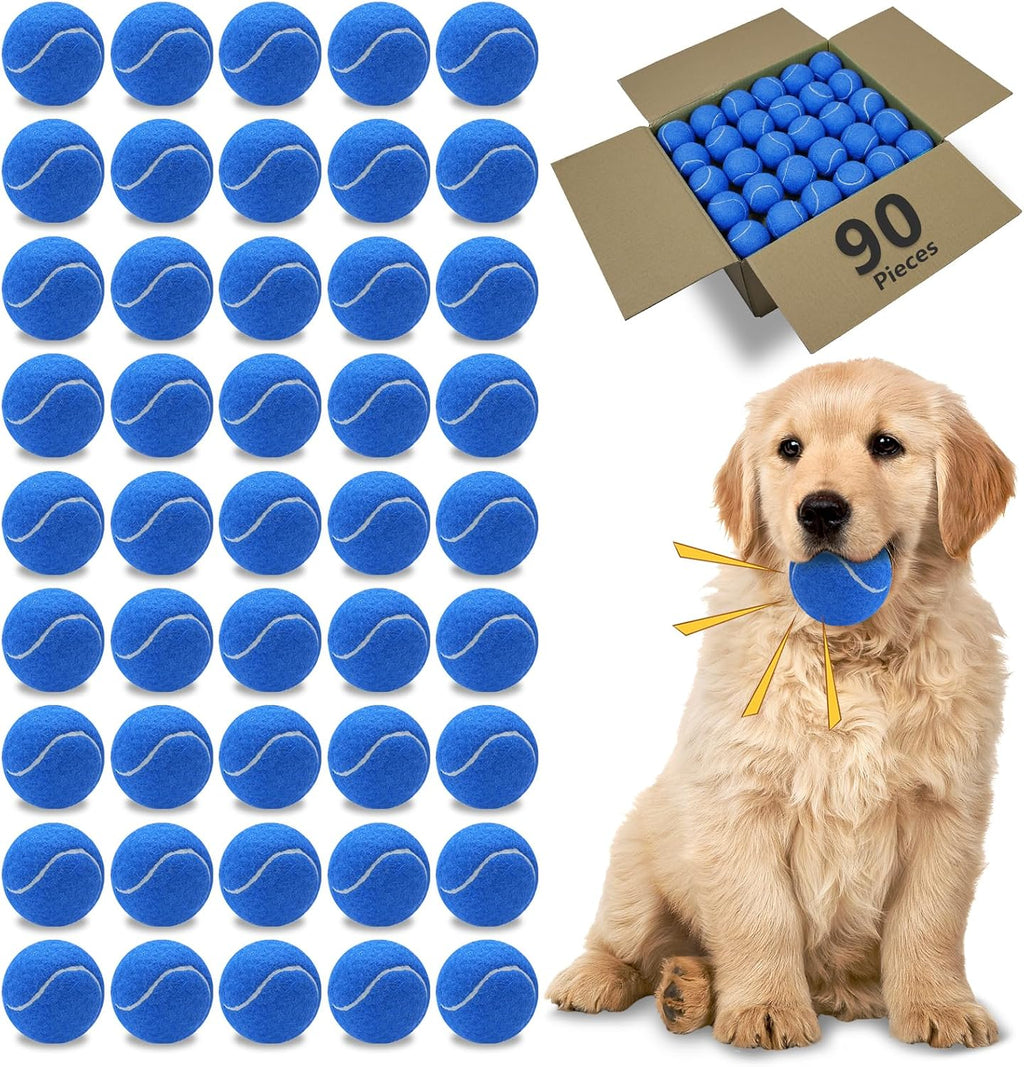 Magicorange Dog Tennis Balls, 20 Pack 2.5 inch Floatable Squeaky Tennis Balls for Fetch Exercise, Natural Rubber Squeaky Dog Balls Training Safe (Multicolor) - Image 10