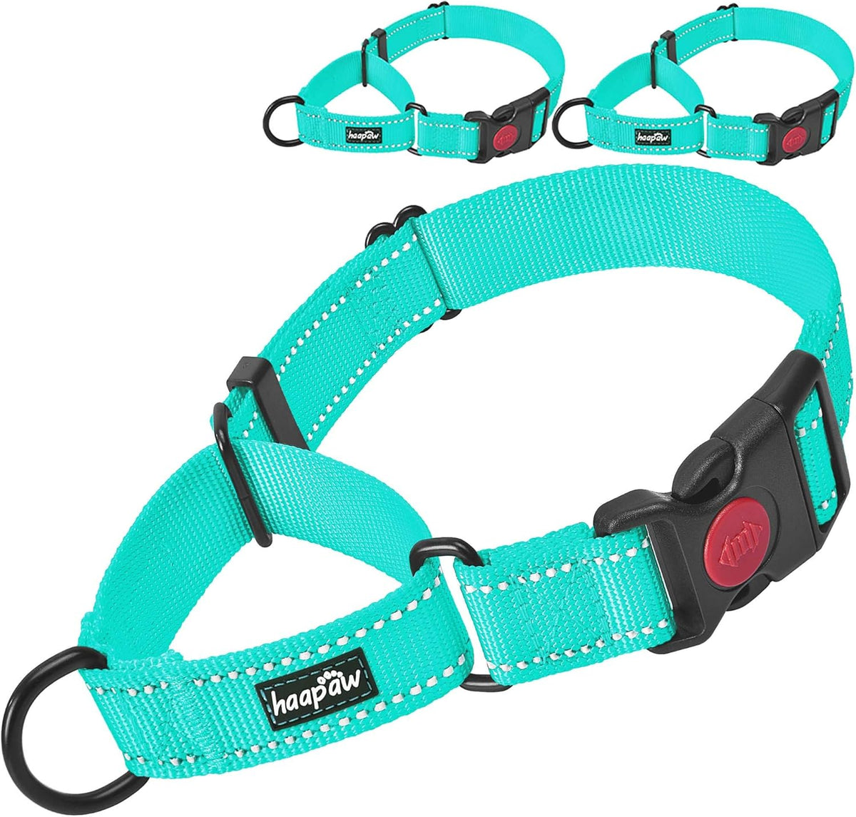 Haapaw large size pet collar side profile view on premium high density webbing