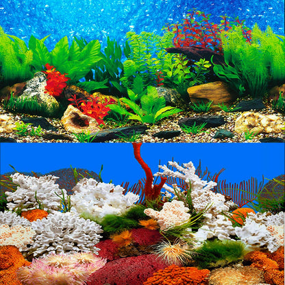 Completed aquarium setup featuring ELEBOX undersea wallpaper with live fish and ornaments.