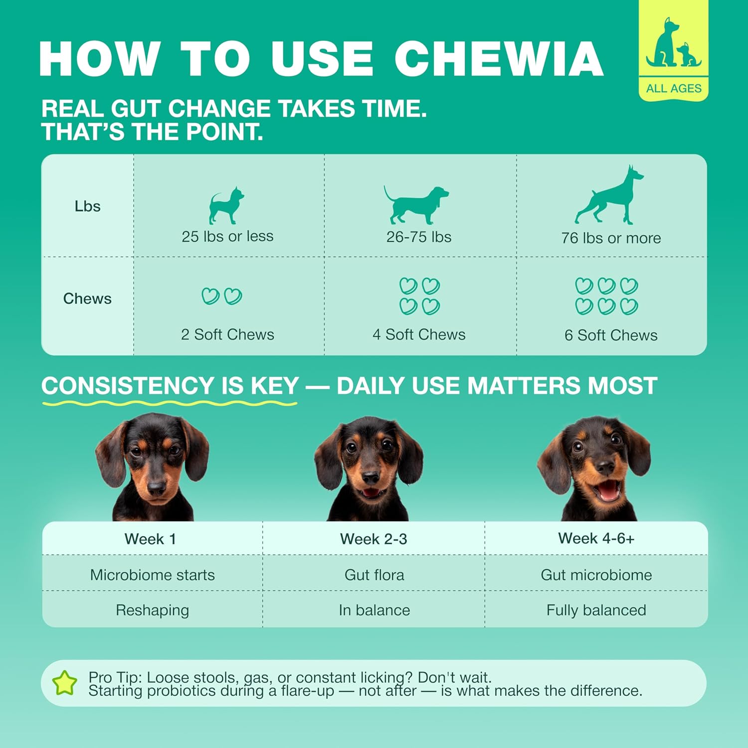 Chewia probiotic soft bites for dogs experiencing seasonal allergies and loose stools.