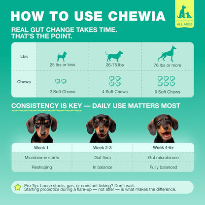 Chewia probiotic soft bites for dogs experiencing seasonal allergies and loose stools.