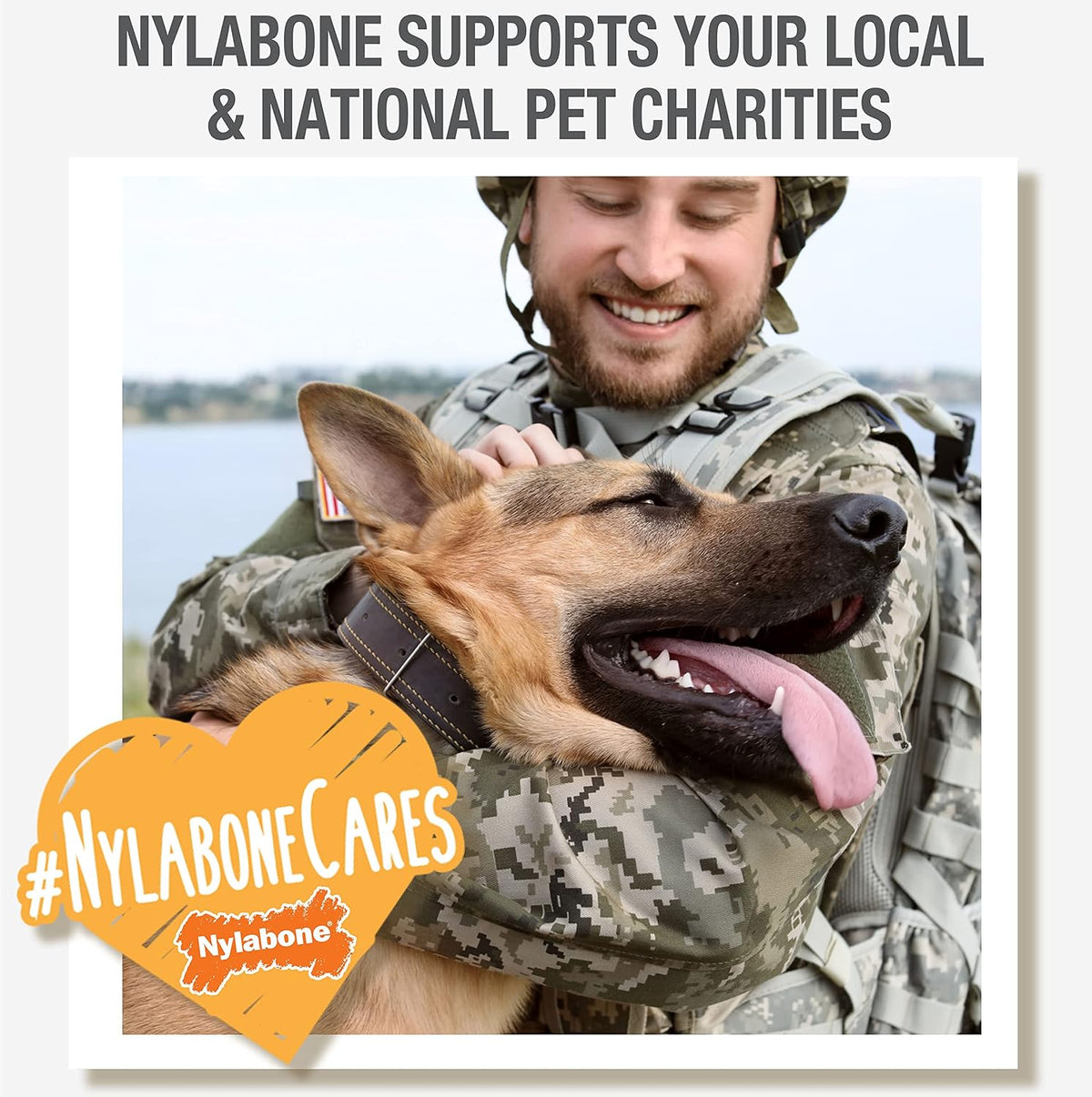 Nylabone Nutri Dent Dog Dental Chews, Natural Teeth Cleaning Dental Treats & Breath Freshener for Dogs, Filet Mignon Flavor, Medium (40 Count) - Image 9
