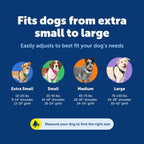 Close-up of PetSafe harness adjustment points
