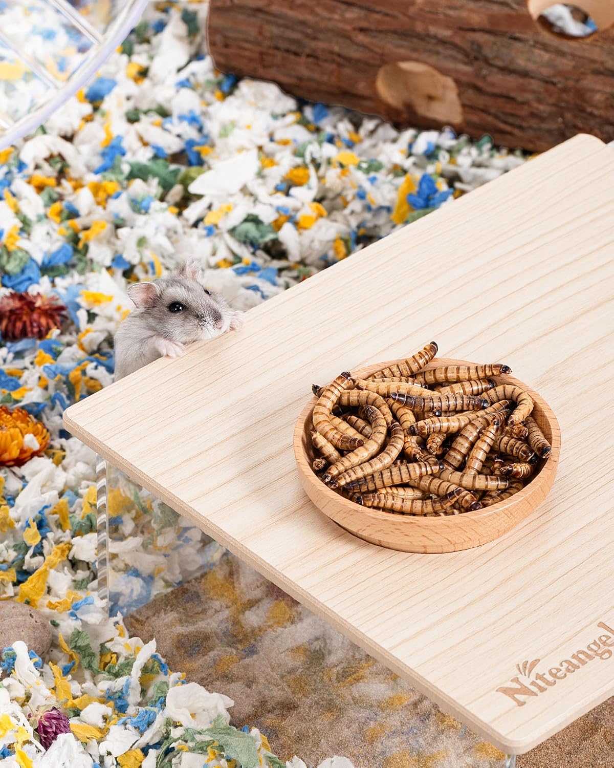 Niteangel small animal snack 1.4 Ounces packaging details