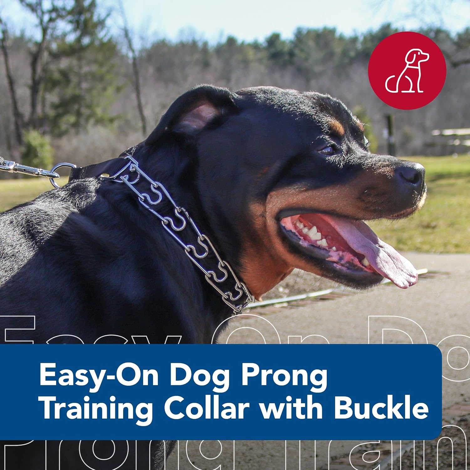 Coastal Pet dog training collar with quick release side buckle detail