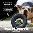 Chew King fetch ball toy for outdoor dog exercise
