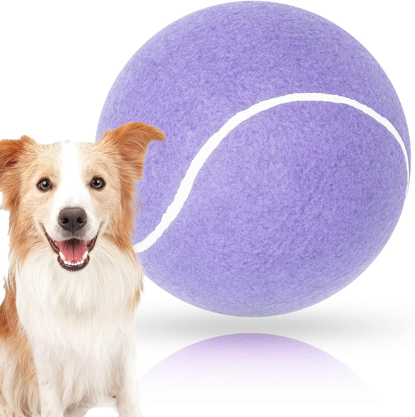 Inflatable giant dog ball for outdoor exercise