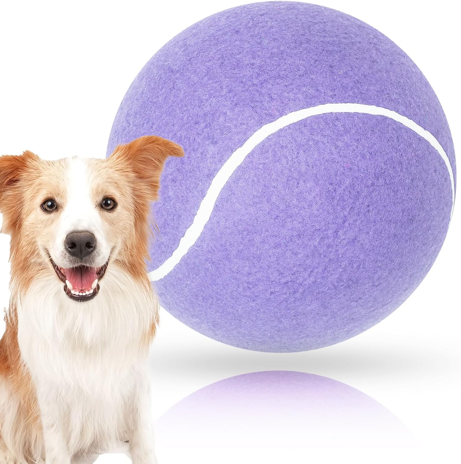 Inflatable giant dog ball for outdoor exercise