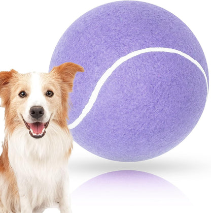 Inflatable giant dog ball for outdoor exercise