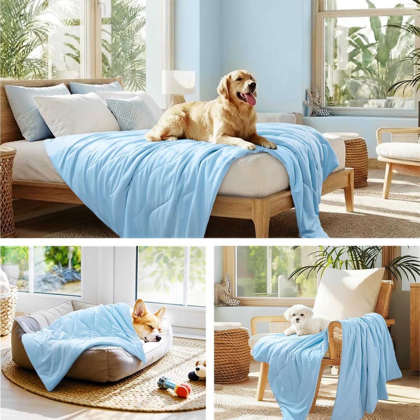Luciphia breathable calming pet throw used as a bed cover liner