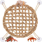 FWUNYVN hermit crab climbing toys circular seagrass mat front view inside glass aquarium