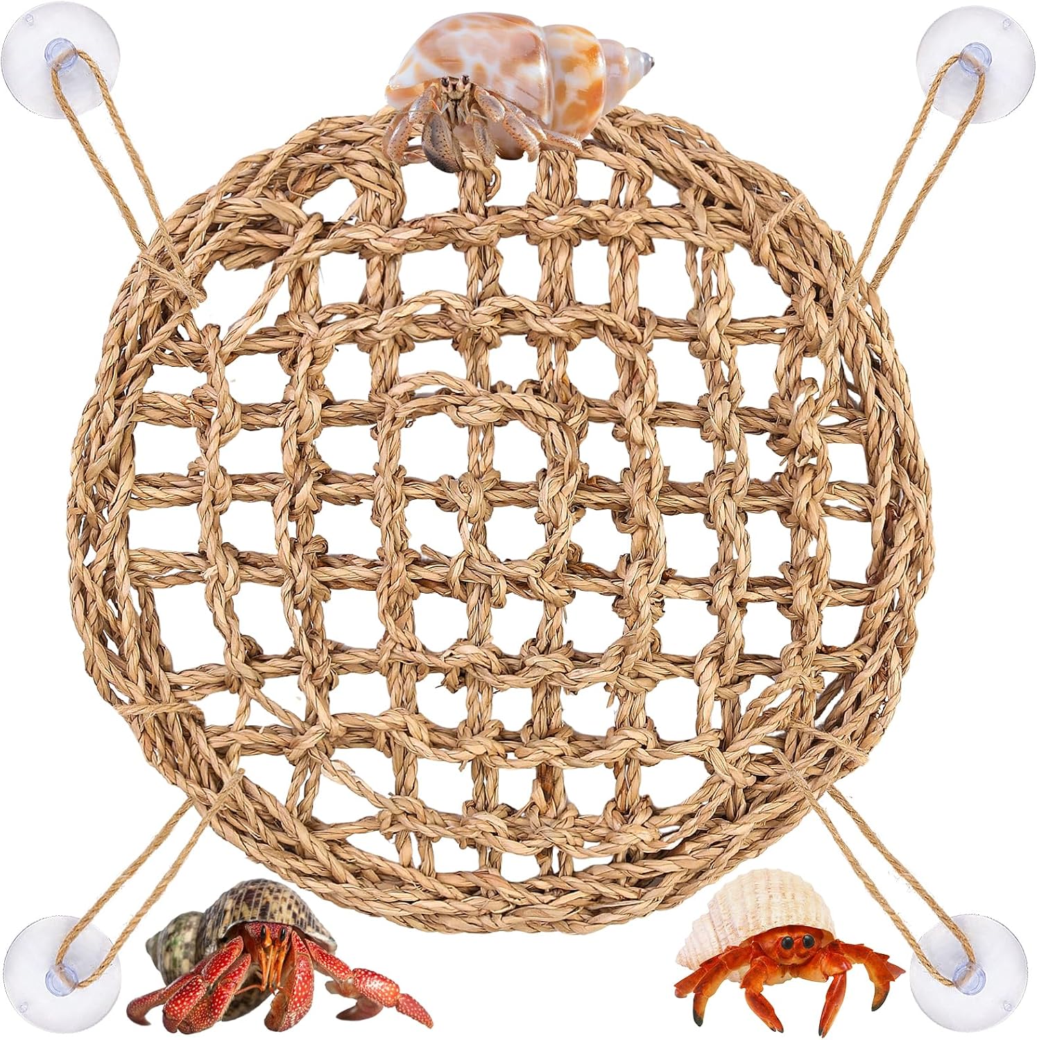 FWUNYVN hermit crab climbing toys circular seagrass mat front view inside glass aquarium