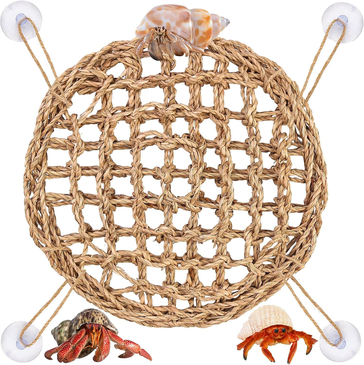 FWUNYVN hermit crab climbing toys circular seagrass mat front view inside glass aquarium