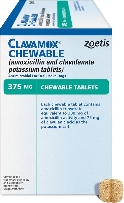 Clavamox (amoxicillin and clavulanate Potassium for Oral Suspension) Drops for Dogs & Cats, 15 mL - Image 9
