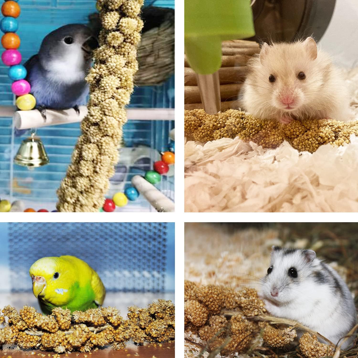 Healthy foraging treat for hamsters and finches