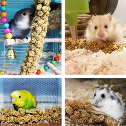 Healthy foraging treat for hamsters and finches
