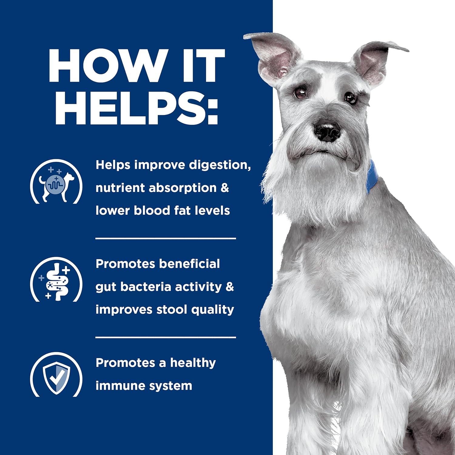 Highly digestible low fat dog food recipe with chicken carrots and rice