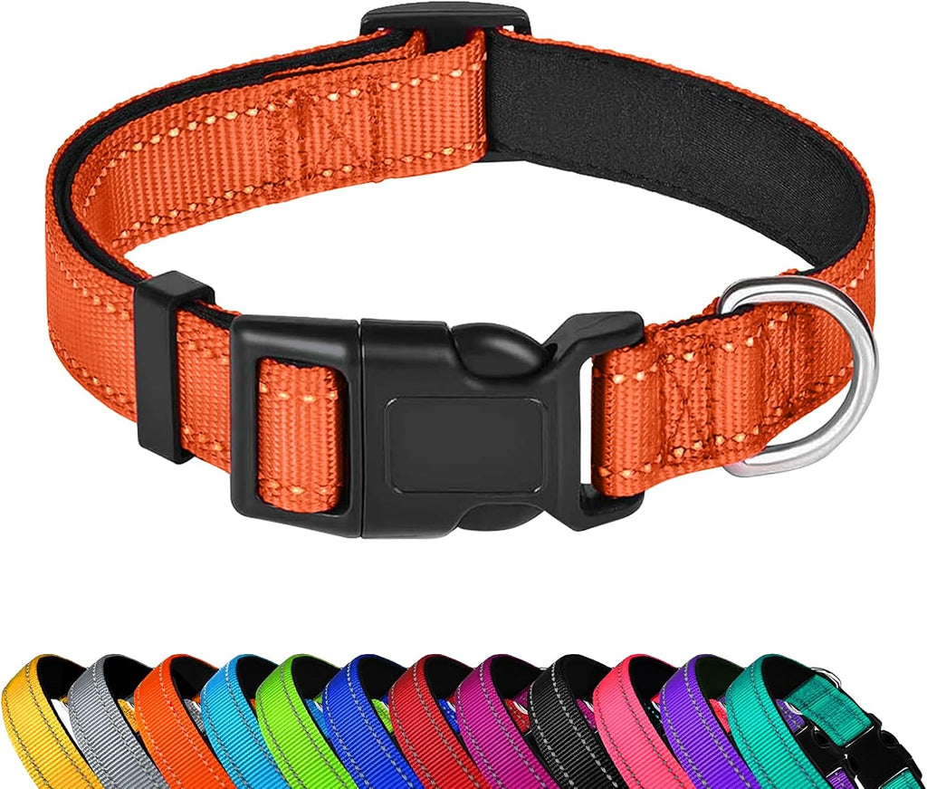 Reflective Dog Collar, Adjustable Soft Neoprene Padded Nylon Pet Collars with Buckle for Medium Dogs, Teal,M - Image 9