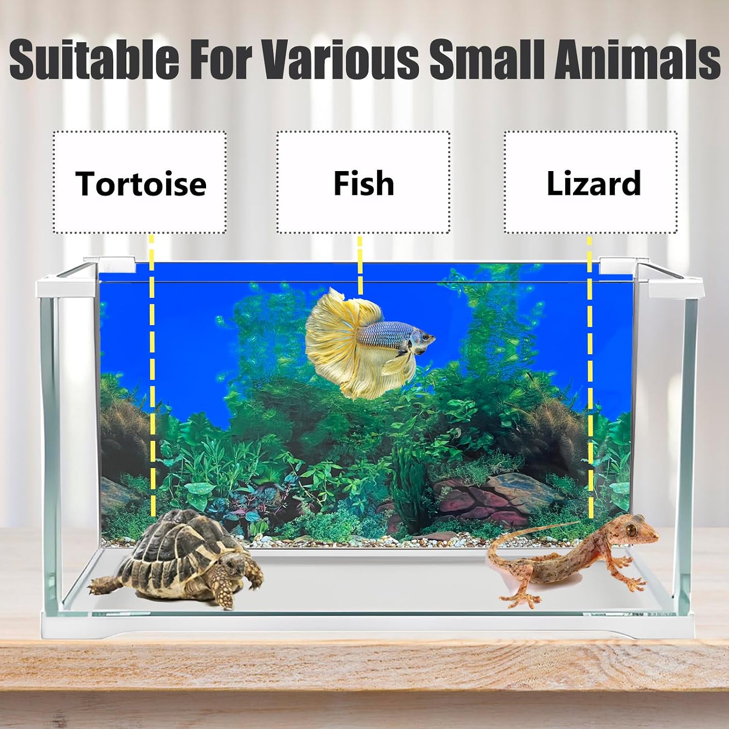 XCNO undersea aquarium poster roll demonstrating durable thick waterproof material