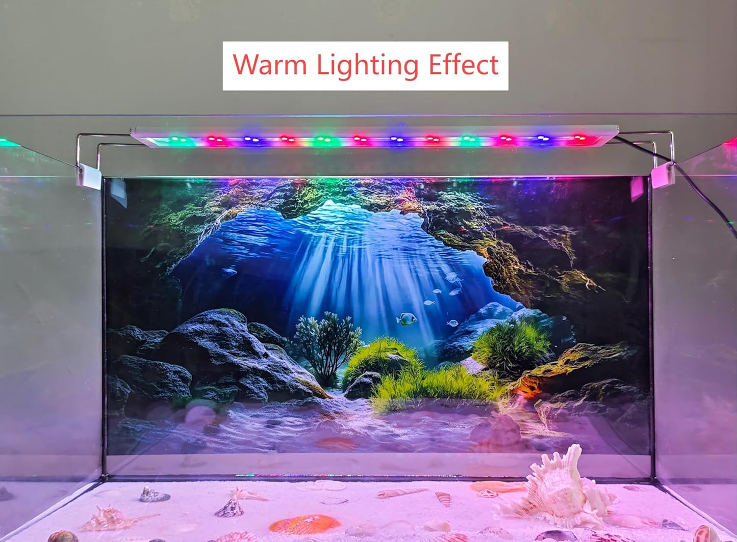 Scenic sunbeam underwater landscape poster for reptile habitats and aquariums.