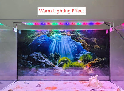Scenic sunbeam underwater landscape poster for reptile habitats and aquariums.