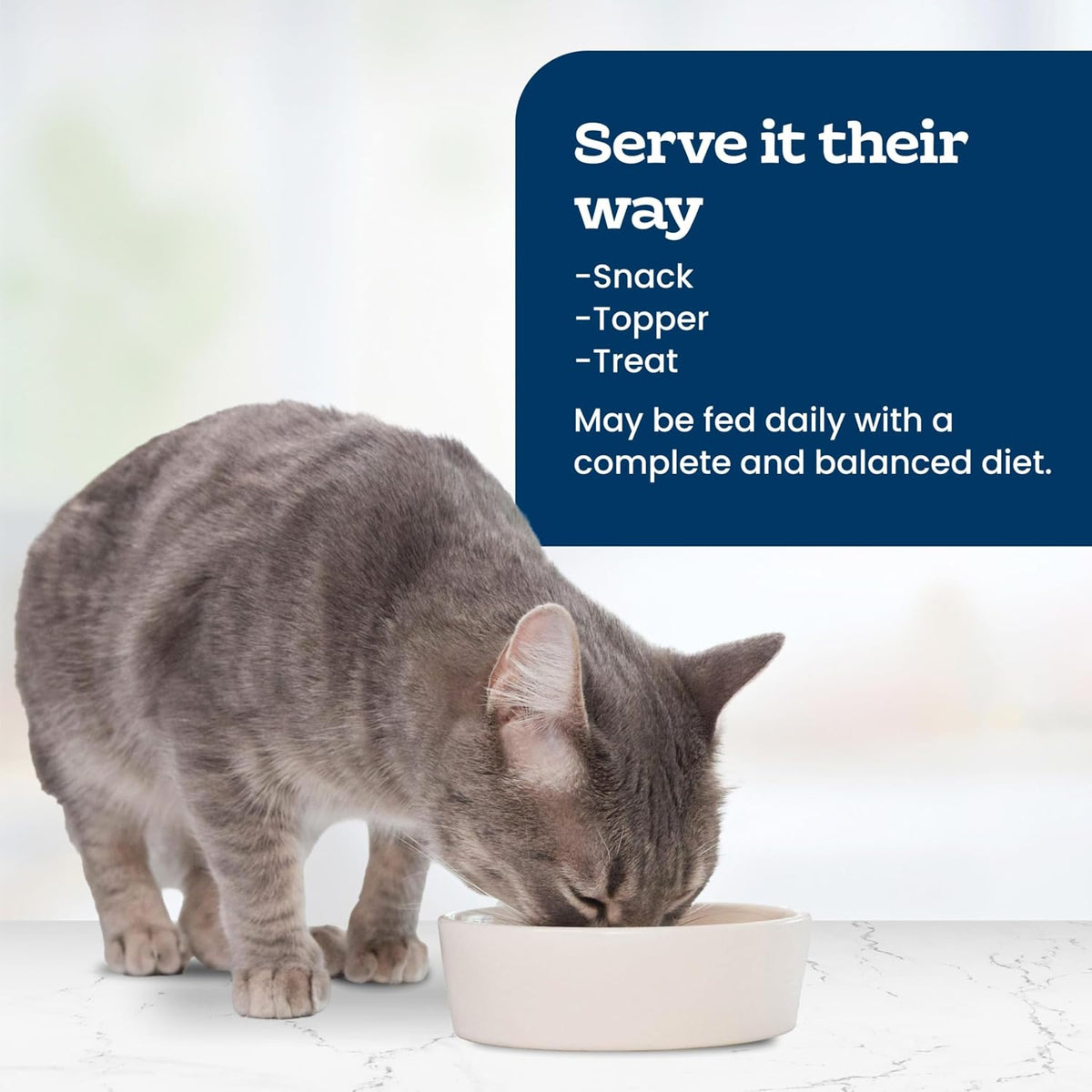 Blue Buffalo natural 5 ingredient wet cat food variety pack complete assortment display