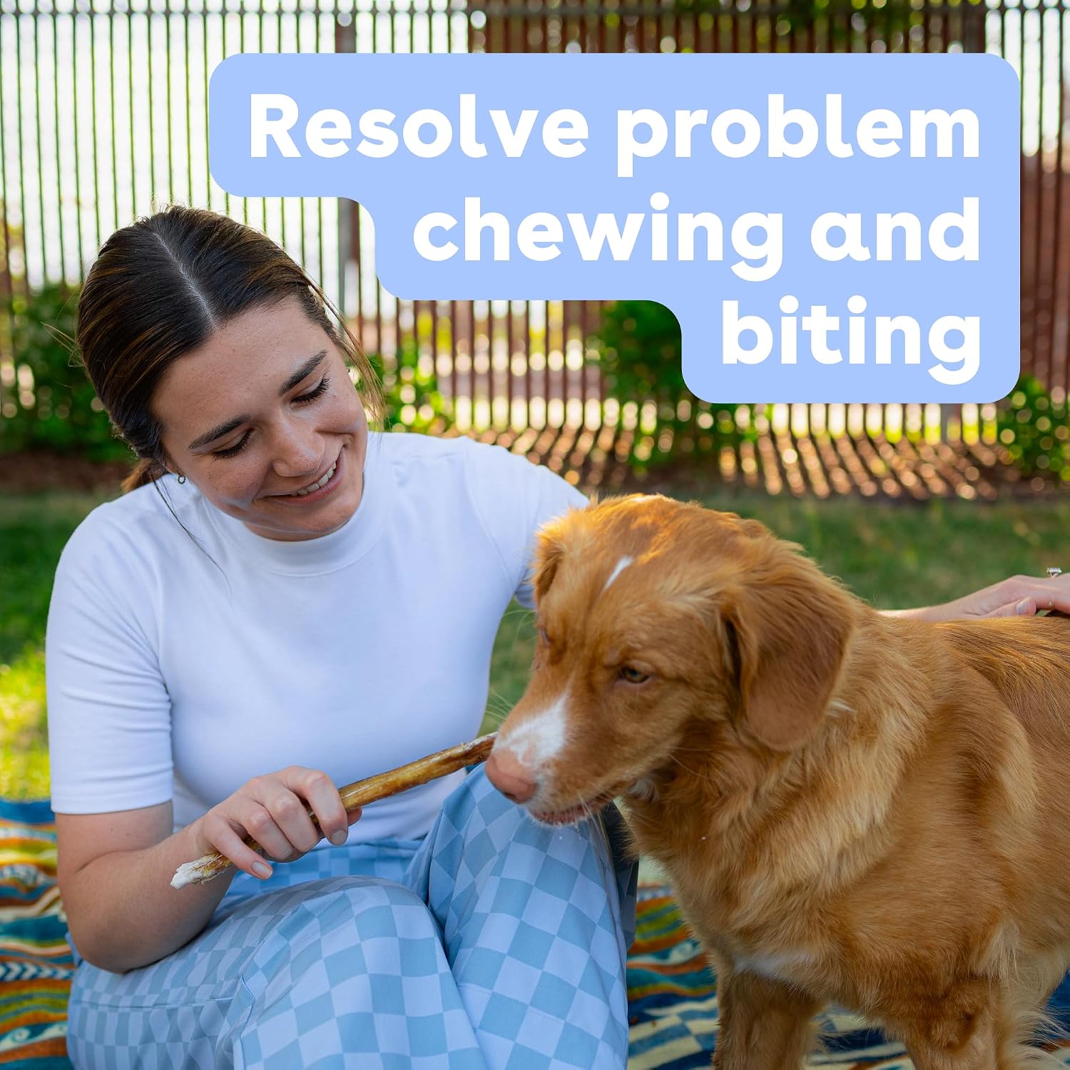 Premium single ingredient long lasting puppy teething sticks close up