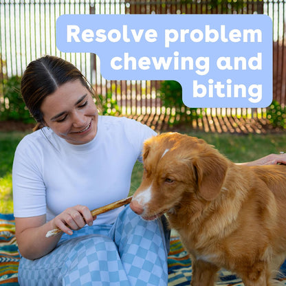 Premium single ingredient long lasting puppy teething sticks close up