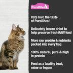 USA imported PureBites salmon cat treats package details