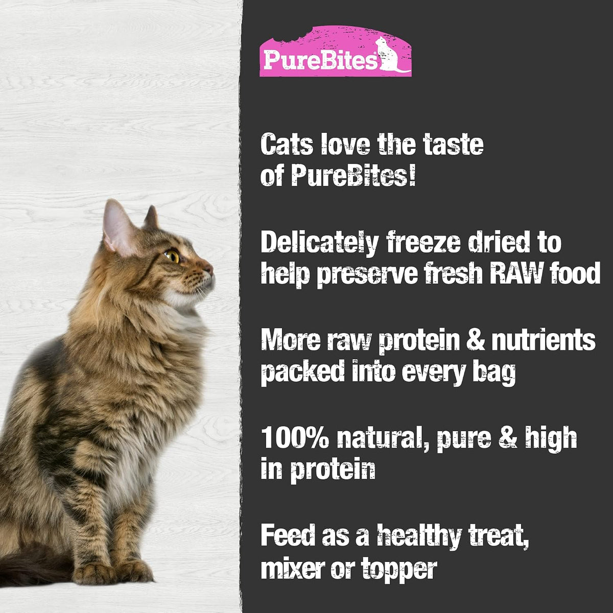 USA imported PureBites salmon cat treats package details