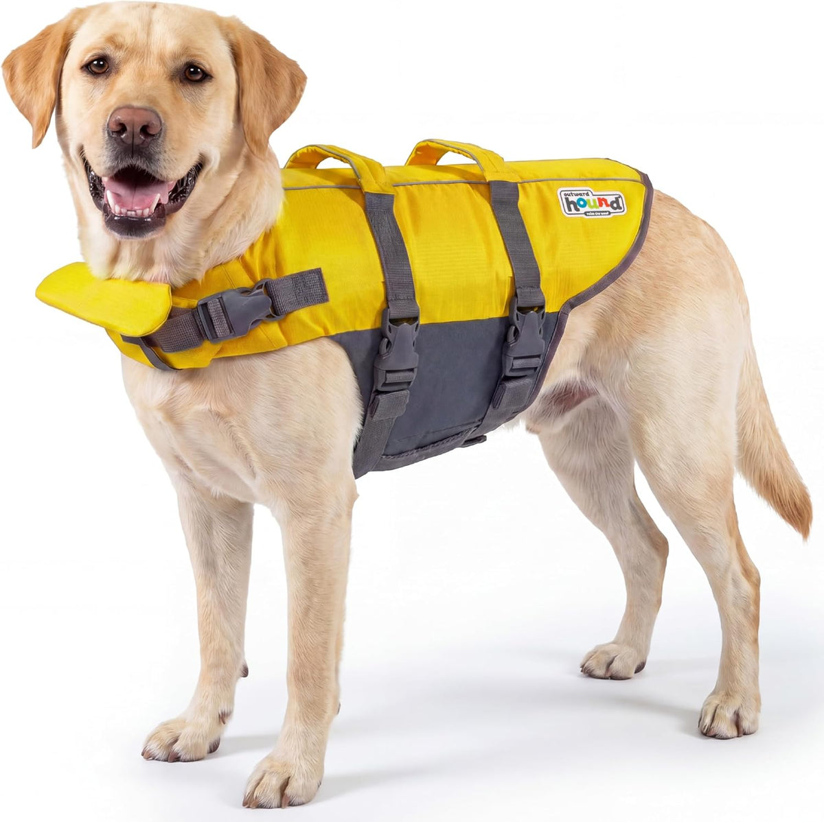 Outward Hound Granby Splash Orange Dog Life Jacket, Large - Image 9