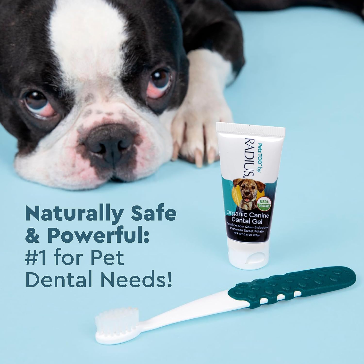 Puppy teeth cleaning tools by Radius
