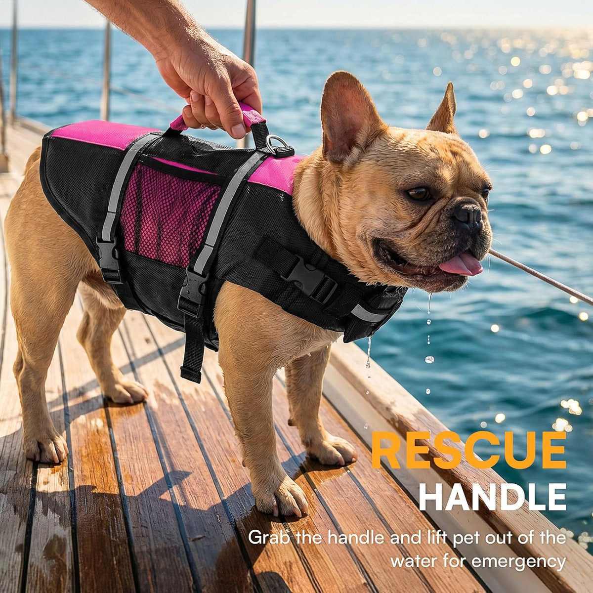 Durable ripstop nylon dog lifesaver jacket close up buckles