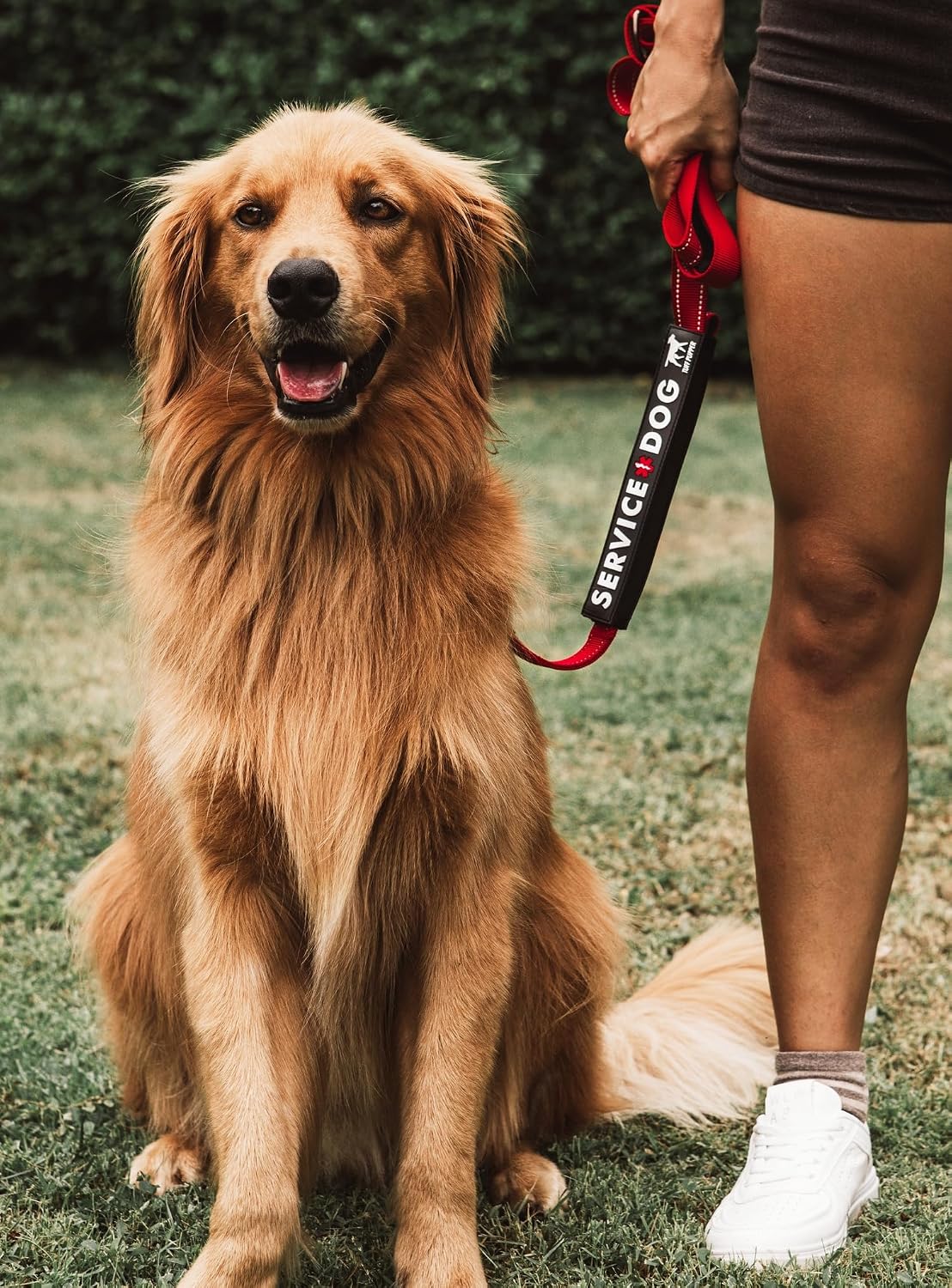 High contrast service dog warning sleeve for outdoor training and walks.