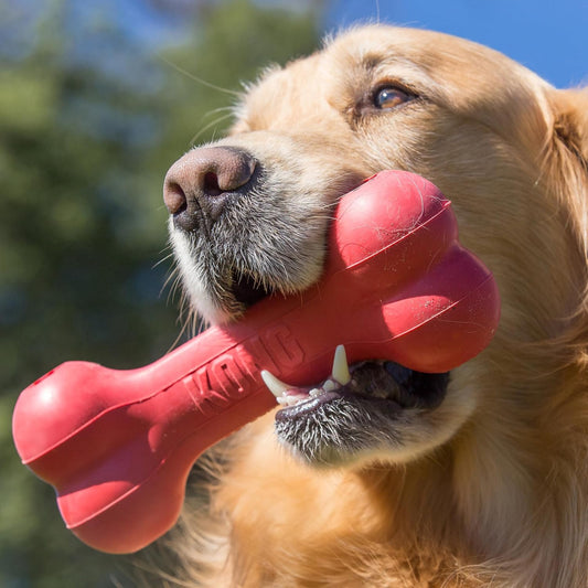 KONG Goodie Bone showing patented Goodie Gripper treat dispensing holes