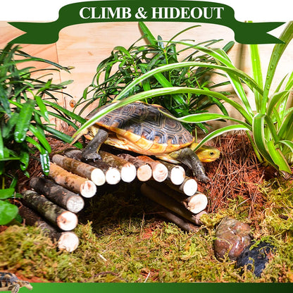 Full view of Hercocci tank accessories arranged in a habitat