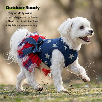 Fitwarm medium size luxury designer dog apparel on a pug