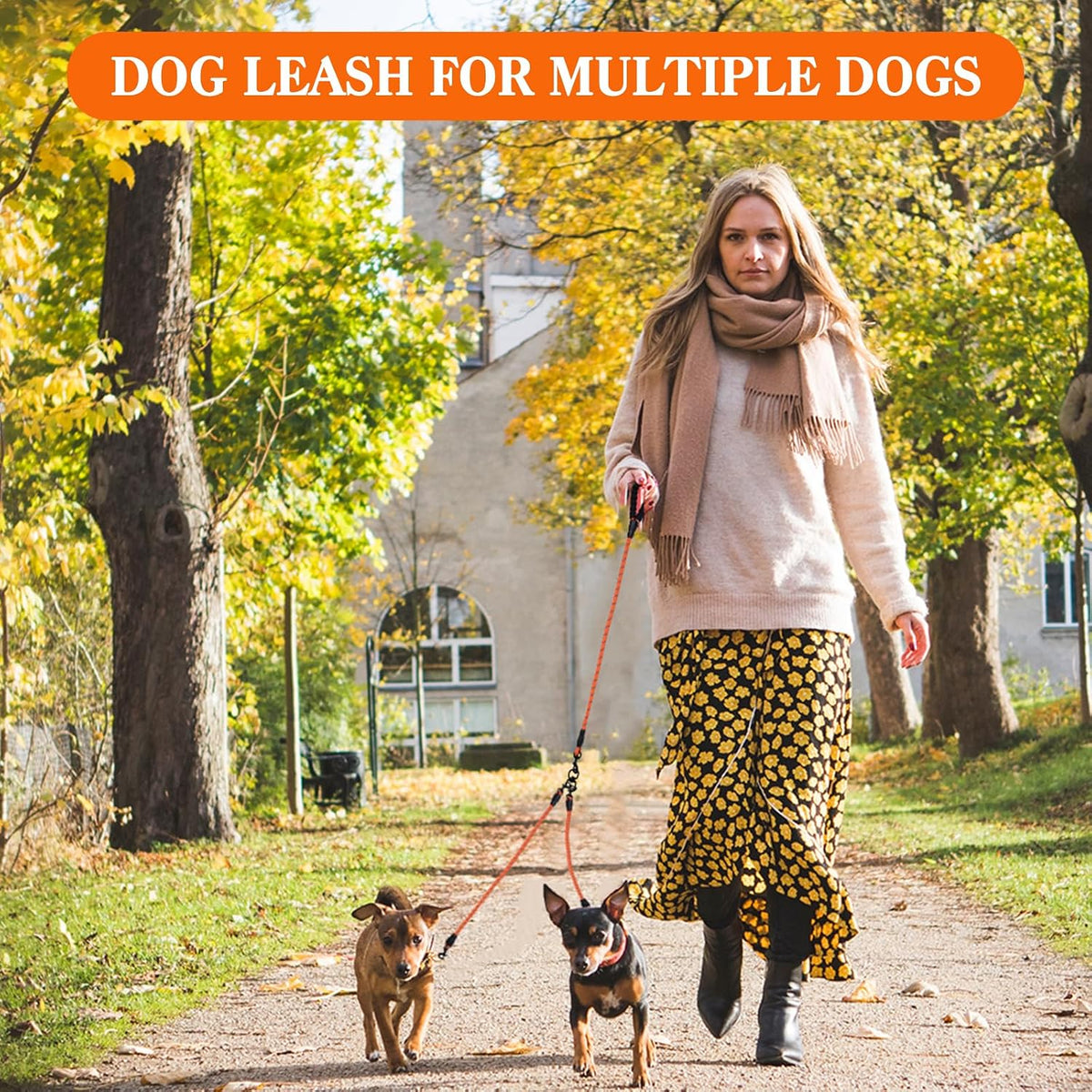 Luck Dawn orange five dog leash close up of anti tangle swivel coupler