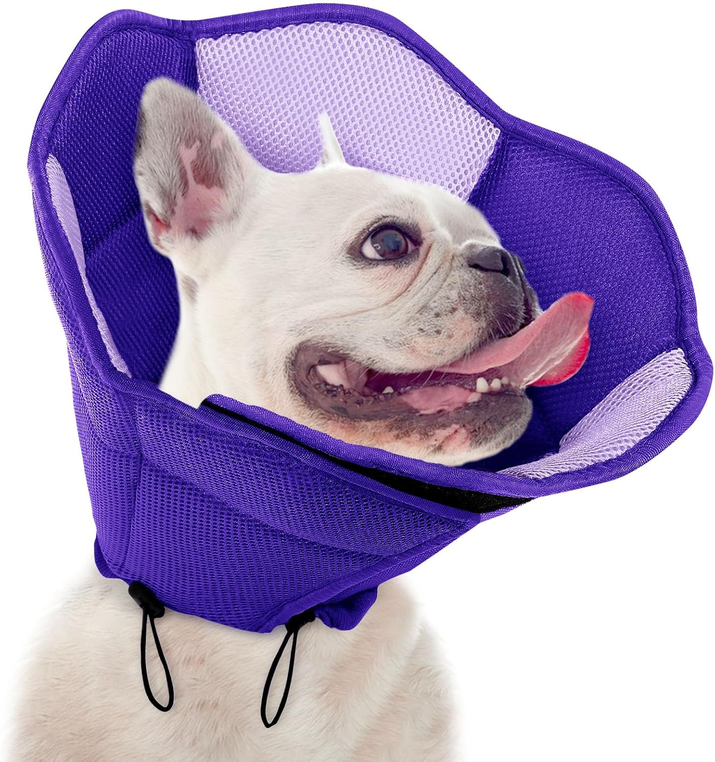 Dog Cone - Soft Cone for Dogs to Stop Licking, Pet E-Collar Alternative After Surgery, Adjustable Pet Recovery Collar for Wound Healing, Blue Large - Image 10