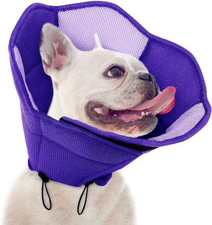 Dog Cone - Soft Cone for Dogs to Stop Licking, Pet E-Collar Alternative After Surgery, Adjustable Pet Recovery Collar for Wound Healing, Blue Large - Image 10