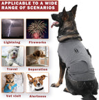 Dog wearing Meifsou compression calming shirt